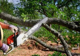 Mulching Services in Aquia Harbour, VA